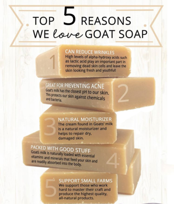 why we love goat soap
