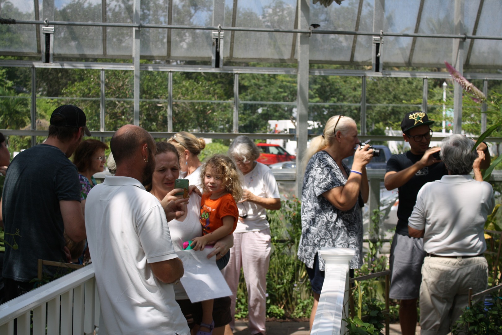 Butterfly House Admission Rates The Florida Native Butterfly