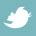 Twitter Logo