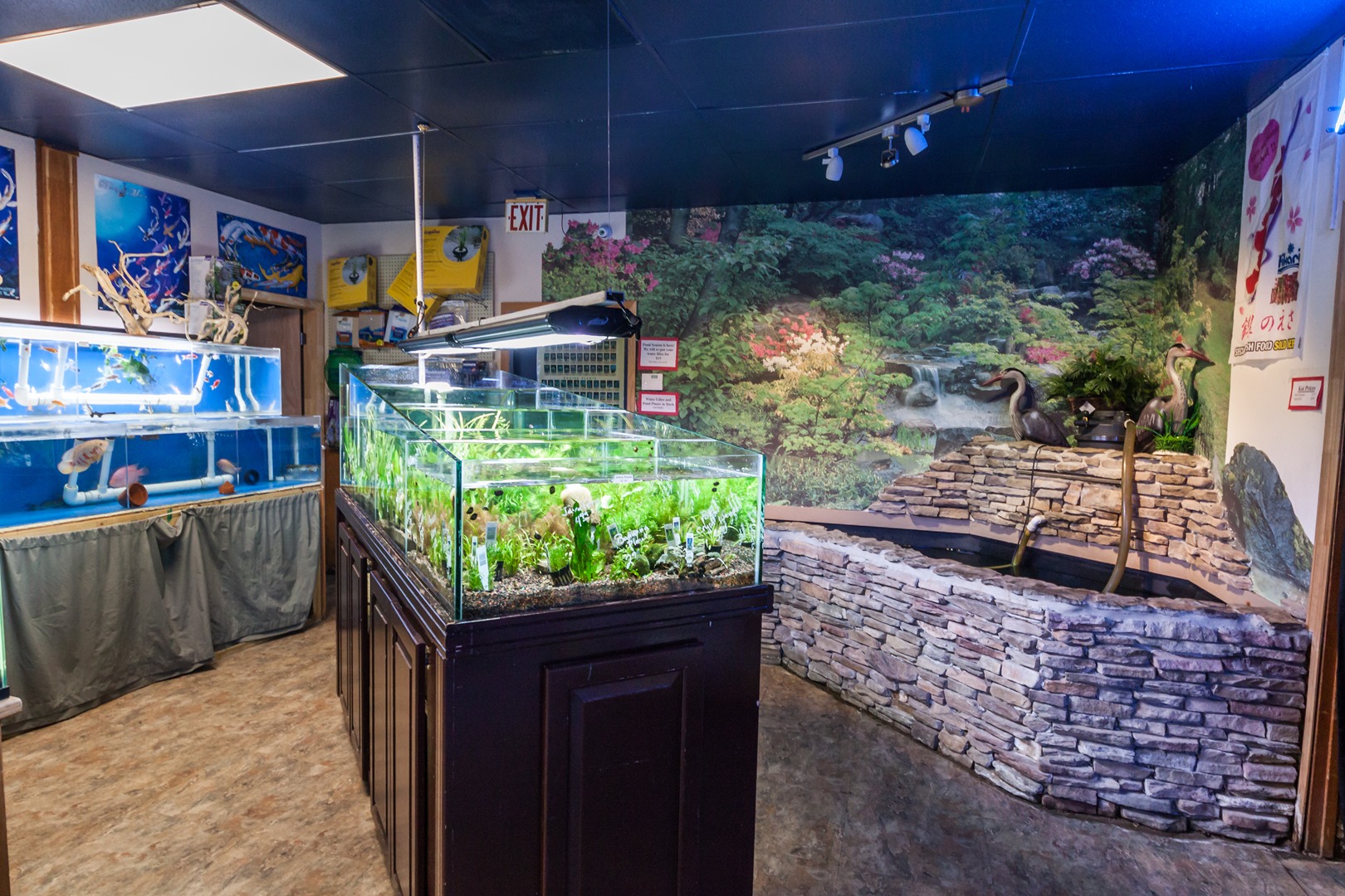 Local saltwater fish stores best sale