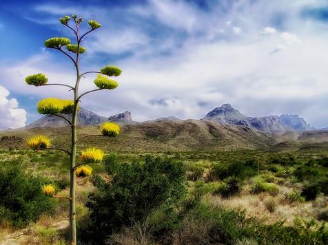 Big Bend National Park in Texas