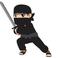 Physics Ninja with sword