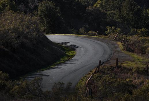 twisty forest road through california
