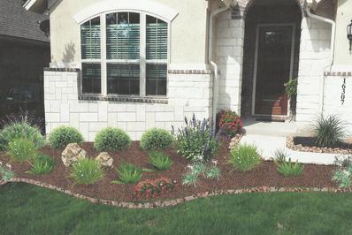 affordable san antonio landscaper a mixed variety of plants and shrubs in a landscaping design in San Antonio by Wilson Landscape