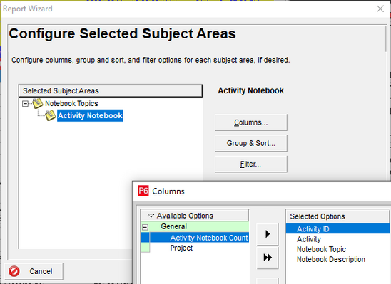 Configure selected subject areas in Primavera P6