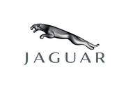 Jaguar Auto Repair in Schaumburg, IL