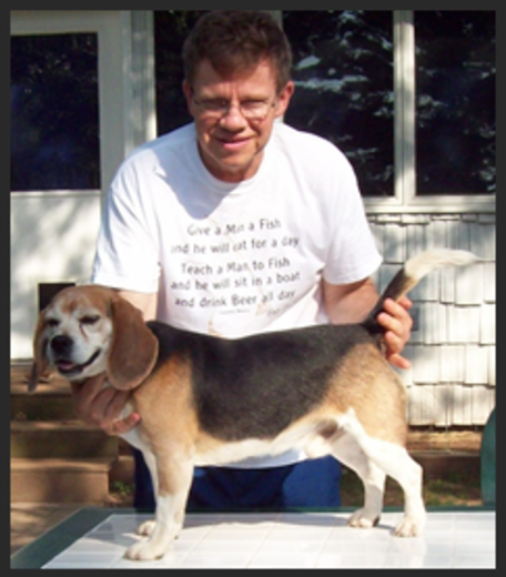 Rossut beagles best sale