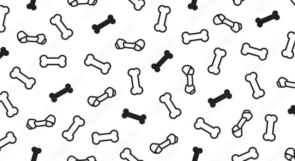 Doodie Soldiers Home