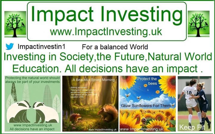 impactinvesting twitter