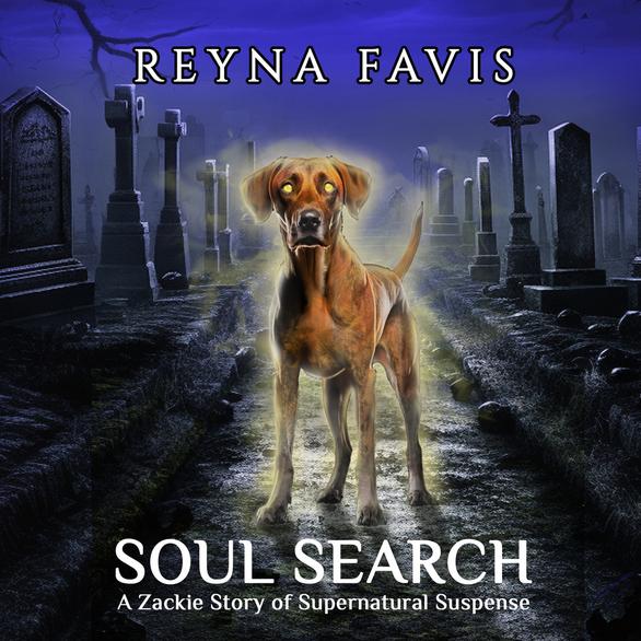 SOUL SEARCH Audiobook