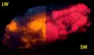 SW and LW fluorescent TUGTUPITE, CHKALOVITE - Taseq Slopes (Tasseq Slopes), Taseq area, Ilimaussaq complex, Narsaq, Kujalleq (Kitaa Province, West Greenland), Greenland, Denmark - ex Tom Pankratz - for sale