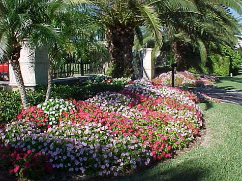 Professional Flower Bed Soil Treatment Service and Cost Edinburg McAllen Texas| RGV Household Services