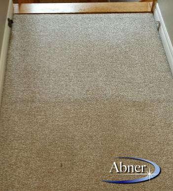 Home carpet cleaning | Halifax picture