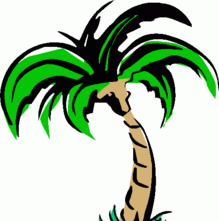 Jade Island Palm Tree Logo