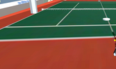 Exhibition Tennis 3d Game