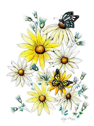 DAISIES AND BUTTERFLIES