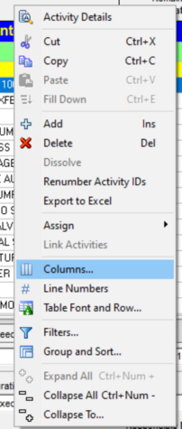 Right-click and select columns in Primavera P6