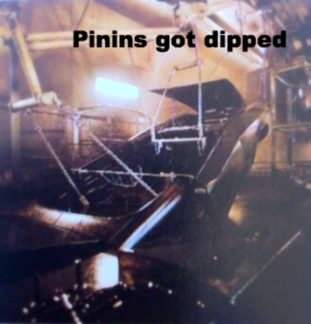 Features found exclusively on Pinin's