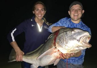 Bowfishing_Black_Drum_Florida