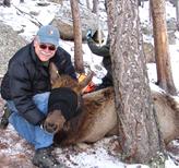 J.M. Mitchell, author of national park mysteries, with a tranquized elk