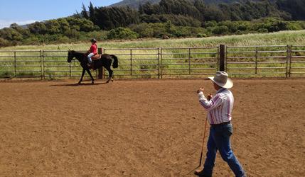 horsemanship lessons, horseback riding lessons, groundwork, maui trail rides