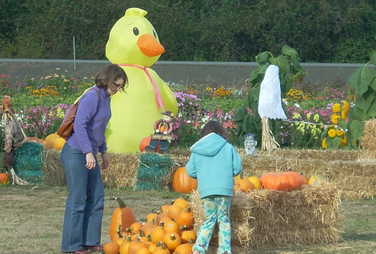 pumpkin patch hillsboro or