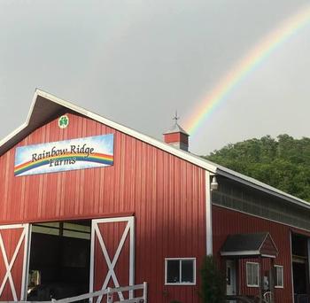 barn with a rainbow on it