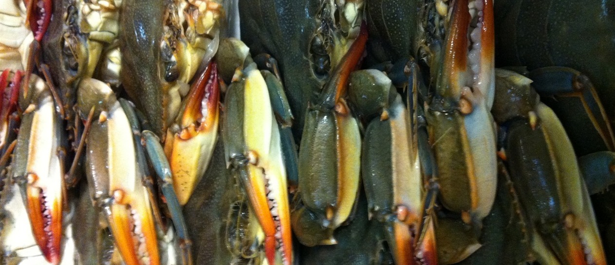 South Bethany Seafood Market in Bethany Beach, De