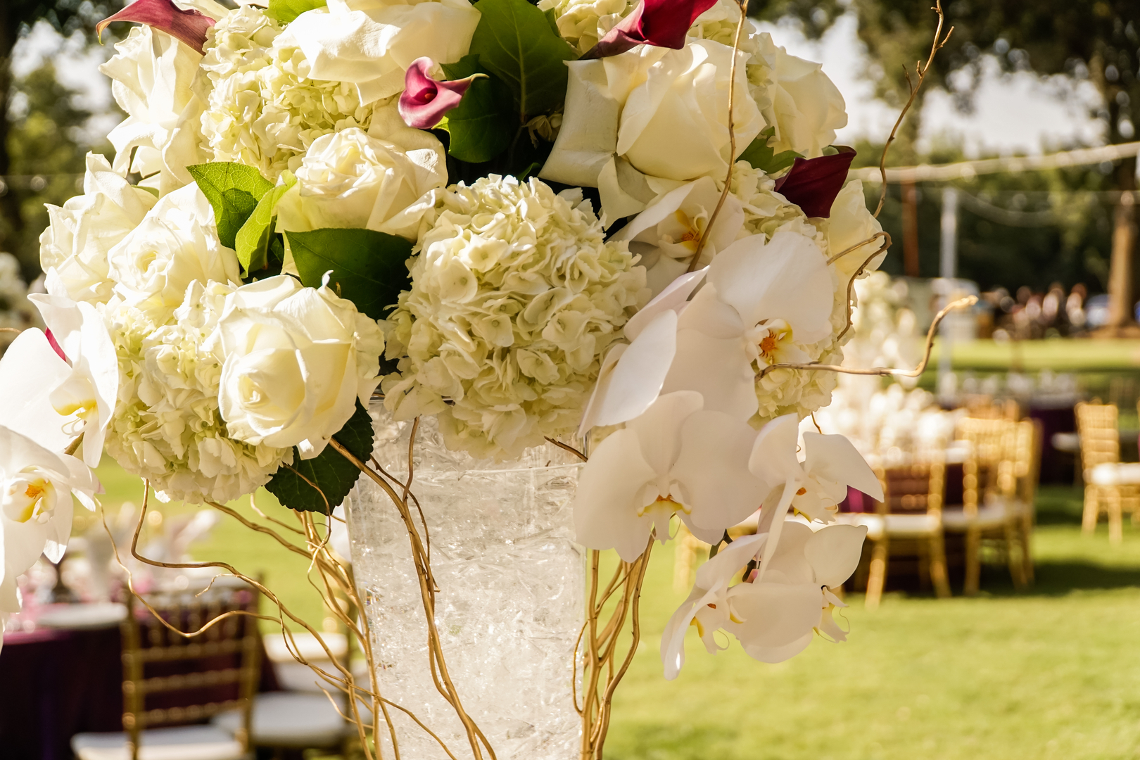 Photo Booth Draping Lighting Table Chairs In Wedding And Party