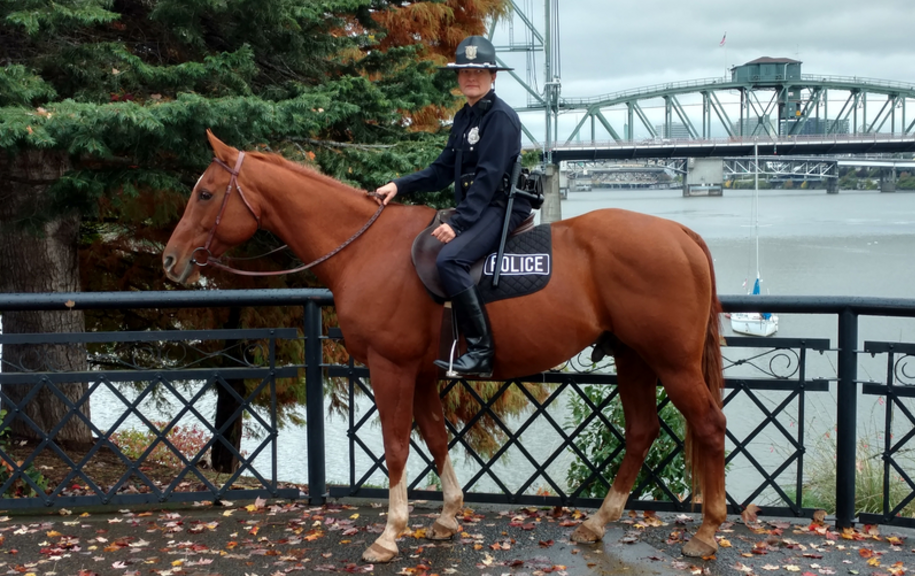 Mounted police officer, with Mountie Hat