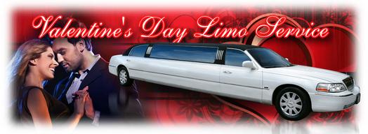 Homecoming Party Bus Rental