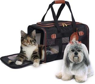 Cat and Dog in luggage