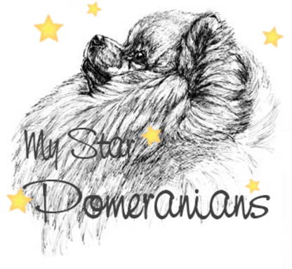 My Star Pomeranian's Logo
