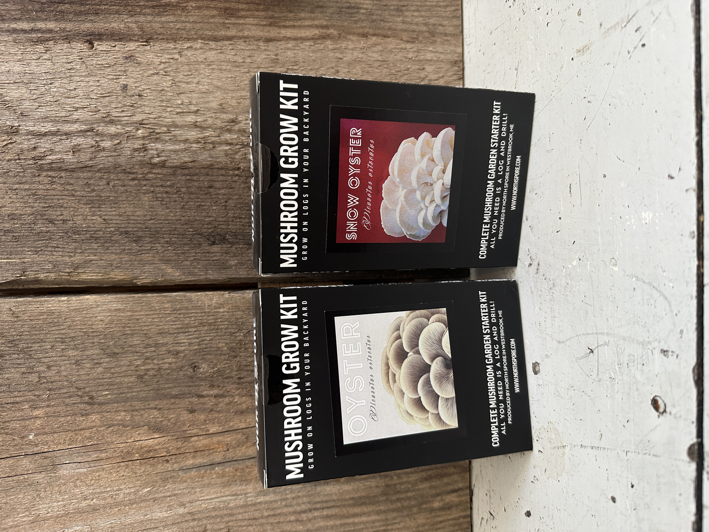 Mushroom Log Starter Kit