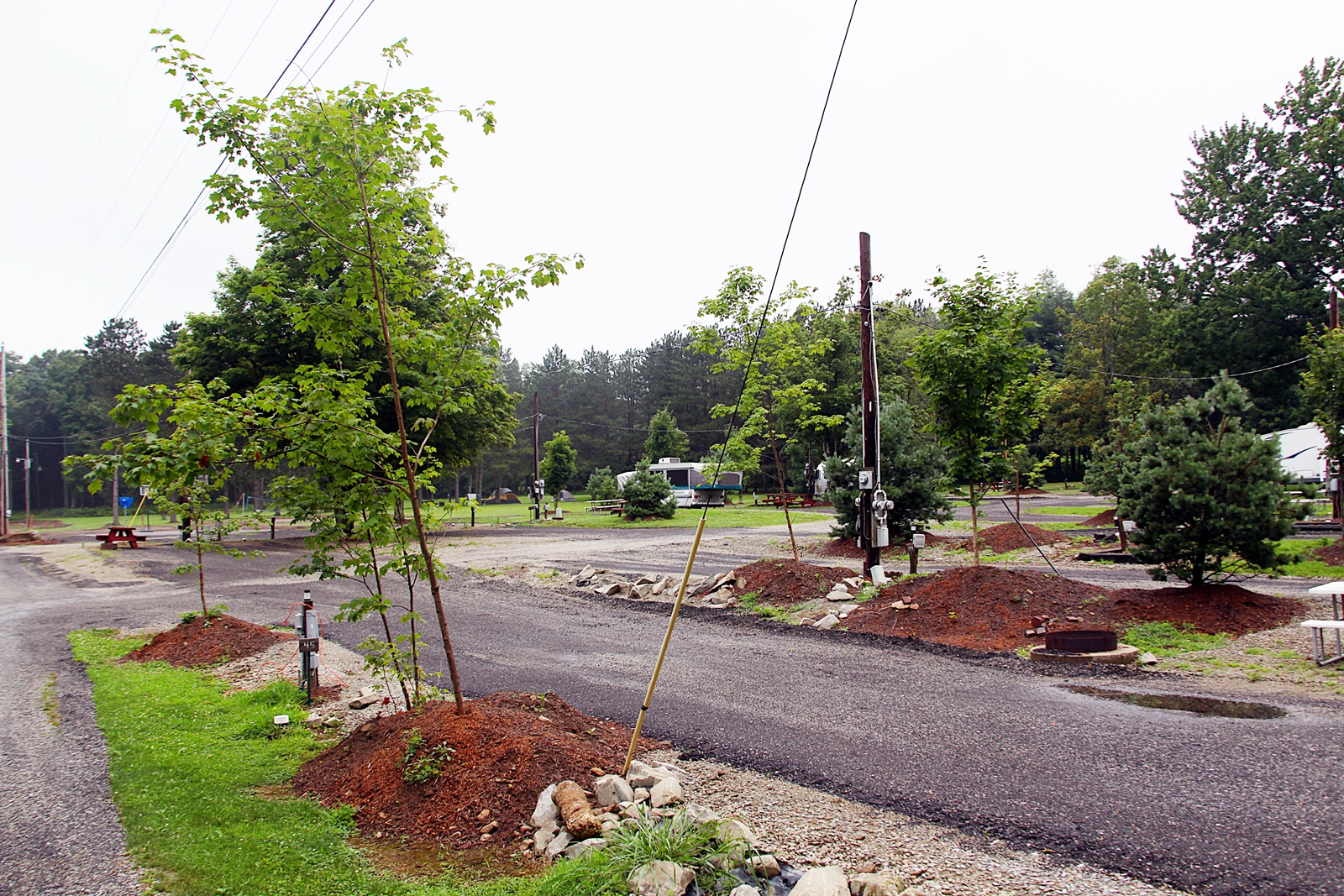 Lost Mountain Campground