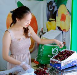 Trái cây nhập khẩu tại Hà Nội