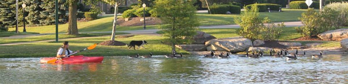 Geese Police of Western Pennsylvania PA man and boarder collie chasing canada geese