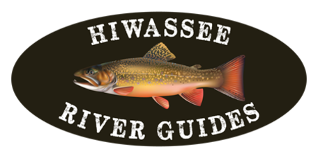 Toccoa River - Hiwassee River Guides