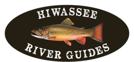 A Guide To Fly Fishing The Toccoa River