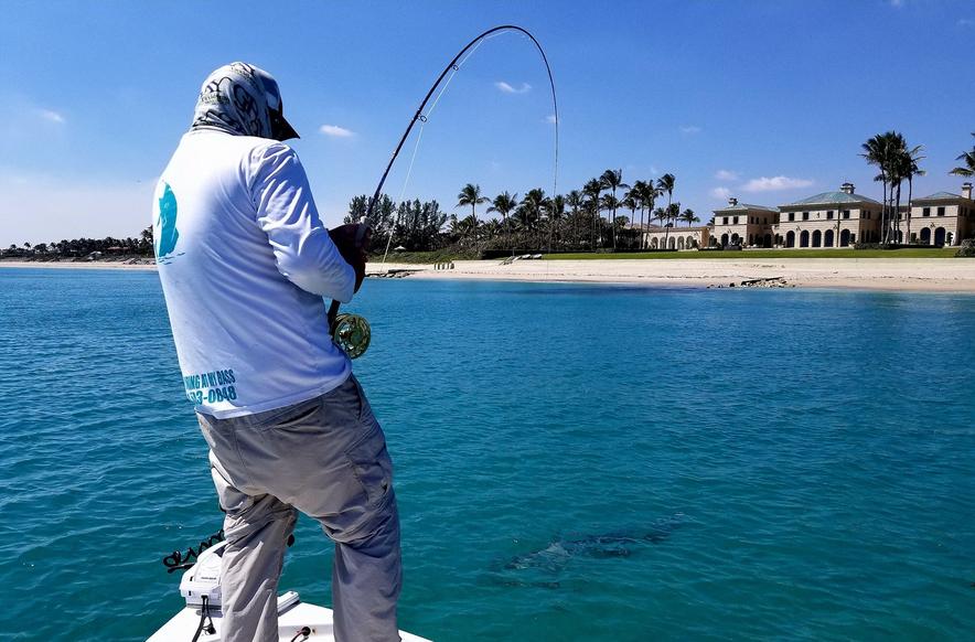 Palm Beach Summertime Fishing