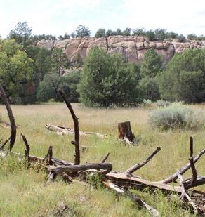 New Mexico landscape