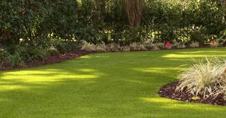 Artificial Grass - PaverScape