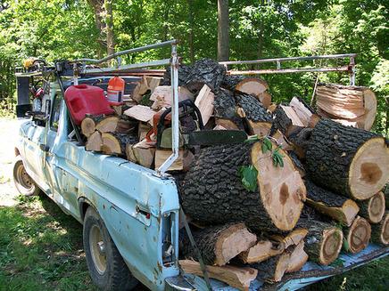 Excellent Log Removal Service in Omaha NE | Omaha Junk Disposal