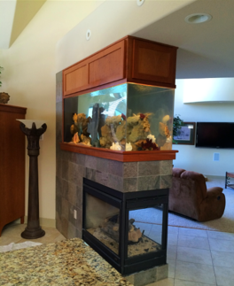 custom fish tank for home
