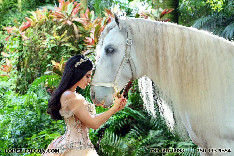 quinces miami with horses quince photography with horse in miami white horse caballo blanco secret gardens