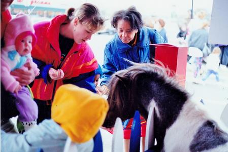 Animals R Us Petting Zoo Home