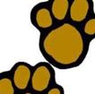 Link to Navarro Athletic Boosters