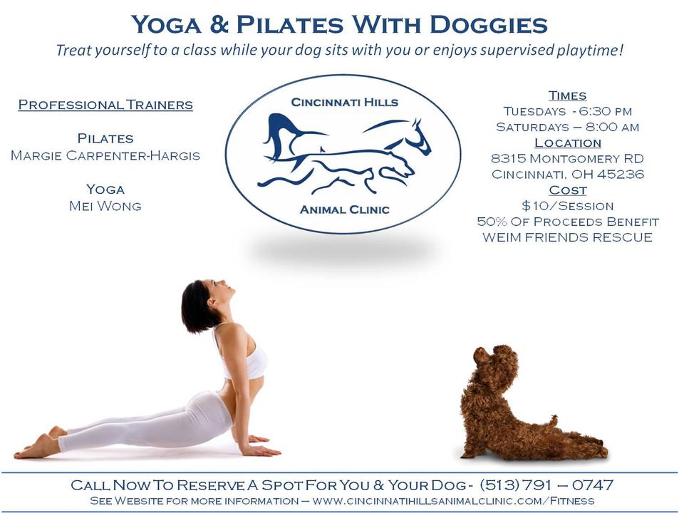 Cincinnati Hills Animal Clinic Fitness Image