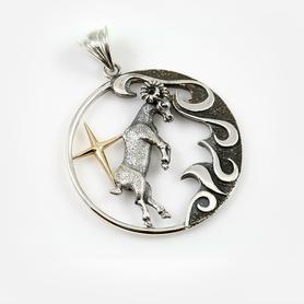 Zodiac Signs Horoscope Sterling Silver Pendants Charms w/Golden Star