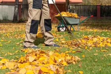 Professional Yard Waste Hauling Services| LNK Junk Removal